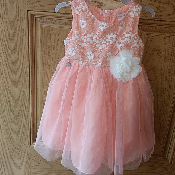 sweet heart rose toddler dress